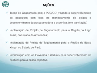 AÇÕES

 Termo de Cooperação com a PUC/GO, visando o desenvolvimento
  de   pesquisas   com    foco   no   monitoramento   de   peixes   e
  desenvolvimento da pesca amadora e esportiva. (em tramitação)

 Implantação de Projeto de Tagueamento para a Região do Lago
  Juma, no Estado do Amazonas;

 Implantação de Projeto de Tagueamento para a Região do Baixo
  Xingu, no Estado do Pará;

 Interlocução com os Governos Estaduais para desenvolvimento de
  políticas para a pesca esportiva;
 