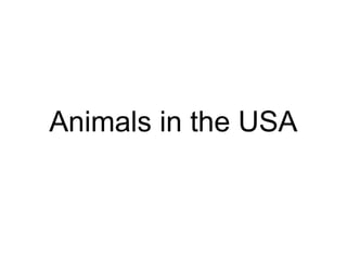 Animals in the USA
 