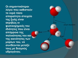 Οι σημαντικότεροι
λόγοι που καθιστούν
το νερό τόσο
απαραίτητο στοιχείο
της ζωής είναι
ακριβώς οι
φυσικοχημικές του
ιδιότητες που είναι
απόρροια της
πολικότητας του και
της ικανότητας των
μορίων του, να
συνδέονται μεταξύ
τους με δεσμούς
υδρογόνου.
 