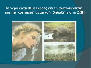 Το νερό είναι θεμελιώδες για τη φωτοσύνθεση
και την κυτταρική αναπνοή, δηλαδή για τη ΖΩΗ
 