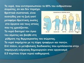 Το νερό, που αντιπροσωπεύει το 65% του ανθρώπινου
σώματος, αν και δεν περιέχει
θρεπτικά συστατικά, είναι
ουσιώδες για τη ζωή γιατί
μεταφέρει θρεπτικές ουσίες
στα όργανα και τους ιστούς
που τις χρειάζονται.
Το νερό διατηρεί τον όγκο
του αίματος και βοηθά στη
ρύθμιση της θερμοκρασίας του σώματος.
Το νερό παρέχεται με τη λήψη τροφίμων και ποτών.
Επί πλέον, οι μεταβολικές διαδικασίες που εμπλέκονται στην
παραγωγή ενέργειας δημιουργούν στον οργανισμό
0.5 περίπου λίτρα νερού καθημερινά.
 