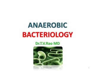 ANAEROBIC
BACTERIOLOGY
   Dr.T.V.Rao MD




       Dr.T.V.Rao MD   1
 