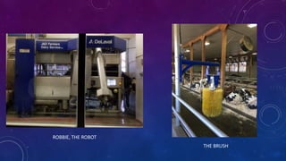 ROBBIE, THE ROBOT
THE BRUSH
 