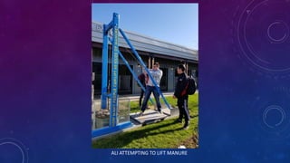 ALI ATTEMPTING TO LIFT MANURE
 