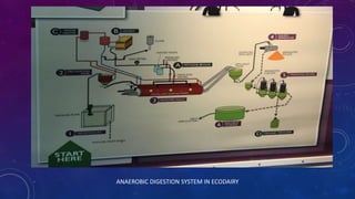 ANAEROBIC DIGESTION SYSTEM IN ECODAIRY
 