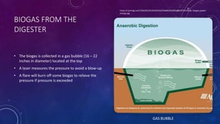 BIOGAS FROM THE
DIGESTER
• The biogas is collected in a gas bubble (16 – 22
inches in diameter) located at the top
• A laser measures the pressure to avoid a blow-up
• A flare will burn off some biogas to relieve the
pressure if pressure is exceeded
https://i.pinimg.com/736x/05/25/2d/05252d72b4833256f6a8b03f7a5535db--biogas-power-
energy.jpg
GAS BUBBLE
 