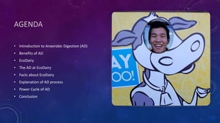AGENDA
• Introduction to Anaerobic Digestion (AD)
• Benefits of AD
• EcoDairy
• The AD at EcoDairy
• Facts about EcoDairy
• Explanation of AD process
• Power Cycle of AD
• Conclusion
 