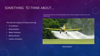 SOMETHING TO THINK ABOUT…
The harmful impacts of factory farming
• Air pollution
• Deforestation
• Water Pollution
• Monocultures
• Carbon emissions
PESTICIDES!!
http://www.thewolfrocks.com/syn/343/129098/transport-canada-to-investigate-crop-duster-crash-near-
aberdeen-sask
 