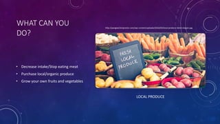 WHAT CAN YOU
DO?
• Decrease intake/Stop eating meat
• Purchase local/organic produce
• Grow your own fruits and vegetables
LOCAL PRODUCE
http://pangeachiropractic.com/wp-content/uploads/2016/03/local-produce-bend-oregon.jpg
 