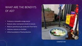 WHAT ARE THE BENEFITS
OF AD?
• Produces a renewable energy source
• Reduces odour and bacteria levels in manure
• Reduces greenhouse gas production from farms
• Improves manure as a fertilizer
• Utilize by-products of food production
COMPOST BIN
 
