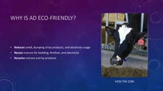 WHY IS AD ECO-FRIENDLY?
• Reduces smell, dumping of by-products, and electricity usage
• Reuses manure for bedding, fertilizer, and electricity
• Recycles manure and by-products
VICKI THE COW
 