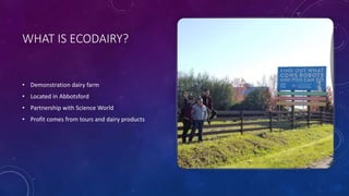 WHAT IS ECODAIRY?
• Demonstration dairy farm
• Located in Abbotsford
• Partnership with Science World
• Profit comes from tours and dairy products
 