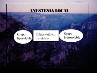 ANESTESIA LOCAL
Enlace estérico
o amídico
Grupo
liposoluble
Grupo
hidrosoluble
 