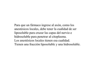 Para que un fármaco ingrese al axón, como los
anestésicos locales, debe tener la cualidad de ser
liposoluble para cruzar las capas del nervio e
hidrosoluble para penetrar al citoplasma.
Los anestésicos locales tienen esa cualidad.
Tienen una fracción liposoluble y una hidrosoluble.
 