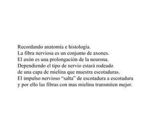 Recordando anatomía e histología.
La fibra nerviosa es un conjunto de axones.
El axón es una prolongación de la neurona.
Dependiendo el tipo de nervio estará rodeado
de una capa de mielina que muestra escotaduras.
El impulso nervioso “salta” de escotadura a escotadura
y por ello las fibras con mas mielina transmiten mejor.
 