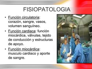 FISIOPATOLOGIA
• Función circulatoria:
  corazón, sangre, vasos,
  volumen sanguíneo.
• Función cardiaca: función
  miocárdica, válvulas, tejido
  de conducción y estructuras
  de apoyo.
• Función miocárdica:
  musculo cardiaco y aporte
  de sangre.
 
