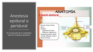 Anestesia
epidural o
peridural
Es la inyección de un anestésico
local en el espacio peridural.
 