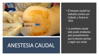 ANESTESIA CAUDAL
• El bloqueo caudal fue
realizado primero por
Cathelin y Sicard en
1903.
• La anestesia caudal
está puede emplearse
para procedimientos
que involucren perineo
y región ano rectal.
 
