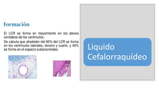 Liquido
Cefalorraquídeo
 