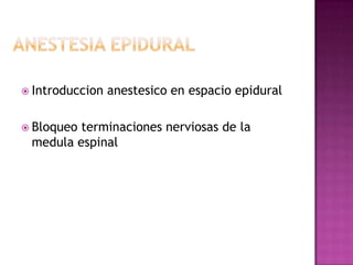  Introduccion   anestesico en espacio epidural

 Bloqueoterminaciones nerviosas de la
 medula espinal
 