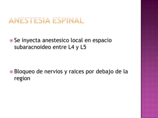  Seinyecta anestesico local en espacio
 subaracnoideo entre L4 y L5



 Bloqueo   de nervios y raices por debajo de la
 region
 