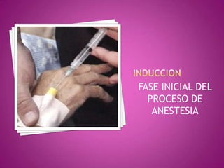 FASE INICIAL DEL
  PROCESO DE
   ANESTESIA
 