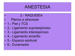 ANESTESIA 2.- RAQUIDEA Planos a atravesar 1.- Piel y TCS 2.- Ligamento supraespinoso 3.- Ligamento interespinoso 4.- Ligamento amarillo 5.- Espacio epidural 6.- Duramadre 