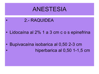 ANESTESIA 2.- RAQUIDEA Lidocaína al 2% 1 a 3 cm c o s epinefrina Bupivacaína isobarica al 0,50 2-3 cm hiperbarica al 0,50 1-1,5 cm 