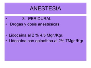 ANESTESIA 3.- PERIDURAL Drogas y dosis anestésicas Lidocaína al 2 % 4,5 Mgr./Kgr. Lidocaína con epinefrina al 2% 7Mgr./Kgr. 