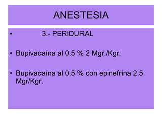 ANESTESIA 3.- PERIDURAL Bupivacaína al 0,5 % 2 Mgr./Kgr. Bupivacaína al 0,5 % con epinefrina 2,5 Mgr/Kgr. 