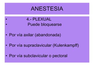 ANESTESIA 4.- PLEXUAL Puede bloquearse Por vía axilar (abandonada) Por vía supraclavicular (Kulenkampff) Por vía subclavicular o pectoral 