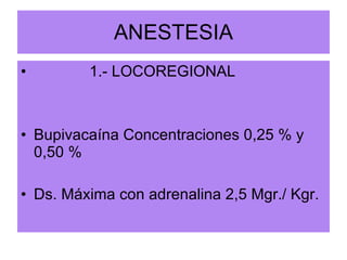 ANESTESIA 1.- LOCOREGIONAL Bupivacaína Concentraciones 0,25 % y 0,50 % Ds. Máxima con adrenalina 2,5 Mgr./ Kgr. 