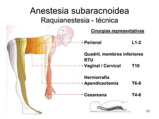 13
Anestesia subaracnoidea
Raquianestesia - técnica
Cirurgias representativas
Perianal L1-2
Quadril, membros inferiores
RTU
Vaginal / Cervical T10
Herniorrafia
Apendicectomia T6-8
Cesareana T4-6
 