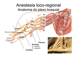 19
Anestesia loco-regional
Anatomia do plexo braquial
C4
C5
C6
C7
C8
T1
Troncos
sup
med
inf
Divisões
A – anterior
P – posterior
A
A
A
P
Cordões
lateral
posterior
medial
Músculo-cutâneo
Radial
Mediano
Ulnar
 