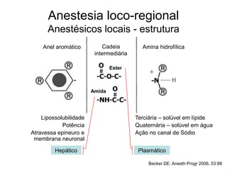 Anestesia loco-regional
Anestésicos locais - estrutura
Lipossolubilidade
Potência
Atravessa epineuro e
membrana neuronal
Anel aromático Cadeia
intermediária
Amina hidrofílica
Ester
Amida
Terciária – solúvel em lípide
Quaternária – solúvel em água
Ação no canal de Sódio
PlasmáticoHepático
Becker DE. Anesth Progr 2006, 53:98
 