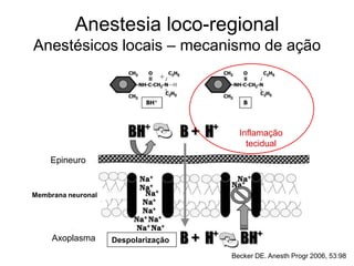 Anestesia loco-regional
Anestésicos locais – mecanismo de ação
Epineuro
Membrana neuronal
Axoplasma Despolarização
Inflamação
tecidual
Becker DE. Anesth Progr 2006, 53:98
 