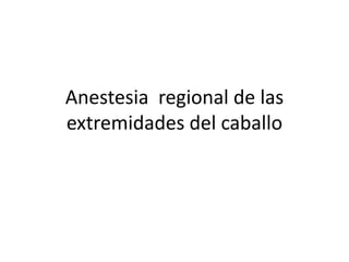Anestesia regional de las
extremidades del caballo
 
