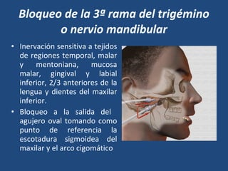 Bloqueo de la 3ª rama del trigémino o nervio mandibular Inervación sensitiva a tejidos  de regiones temporal, malar y mentoniana, mucosa malar, gingival y labial inferior, 2/3 anteriores de la lengua y dientes  del maxilar inferior.  Bloqueo a la salida del  agujero oval tomando como punto de referencia la escotadura sigmoidea del maxilar y el arco  cigomático 