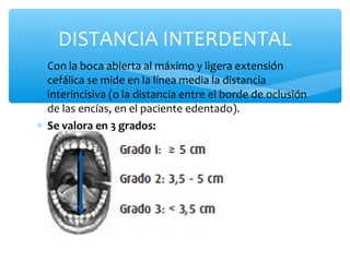 ∗ Con la boca abierta al máximo y ligera extensión
cefálica se mide en la línea media la distancia
interincisiva (o la distancia entre el borde de oclusión
de las encías, en el paciente edentado).
∗ Se valora en 3 grados:
DISTANCIA INTERDENTAL
 