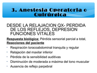 3. Anestesia Operatoria o
Quirúrgica
DESDE LA RELAJACION QX- PERDIDA
DE LOS REFLEJOS, DEPRESION
FUNCIONES VITALES
Respuesta biológica: Pérdida sensorial parcial a total,
Reacciones del paciente
• Respiración toracoabdominal tranquila y regular
• Relajación del maxilar inferior
• Pérdida de la sensibilidad auditivas
• Disminución de moderada a máxima del tono muscular
• Ausencia de reflejo parpebral
 