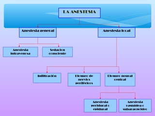 LA ANESTESIA
Anestesia general Anestesia local
Sedacion
consciente
Anestesia
intravenosa
Infiltración Bloqueo de
nervios
periféricos
Bloqueo neural
central
Anestesia
peridural o
epidural
Anestesia
raquídea o
subaracnoideo
 