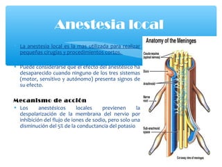 • La anestesia local es la mas utilizada para realizar
pequeñas cirugías y procedimientos cortos.
• Puede considerarse que el efecto del anestésico ha
desaparecido cuando ninguno de los tres sistemas
(motor, sensitivo y autónomo) presenta signos de
su efecto.
Mecanismo de acción
• Los anestésicos locales previenen la
despolarización de la membrana del nervio por
inhibición del flujo de iones de sodio, pero solo una
disminución del 5% de la conductancia del potasio
Anestesia local
 