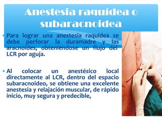 •Para lograr una anestesia raquídea se
debe perforar la duramadre y las
aracnoides, obteniéndose un flujo del
LCR por aguja.
•Al colocar un anestésico local
directamente al LCR, dentro del espacio
subaracnoideo, se obtiene una excelente
anestesia y relajación muscular, de rápido
inicio, muy segura y predecible,
Anestesia raquídea o
subaracnoidea
 