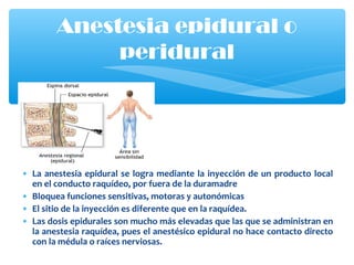 • La anestesia epidural se logra mediante la inyección de un producto local
en el conducto raquídeo, por fuera de la duramadre
• Bloquea funciones sensitivas, motoras y autonómicas
• El sitio de la inyección es diferente que en la raquídea.
• Las dosis epidurales son mucho más elevadas que las que se administran en
la anestesia raquídea, pues el anestésico epidural no hace contacto directo
con la médula o raíces nerviosas.
Anestesia epidural o
peridural
 