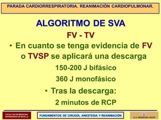 ALGORITMO DE SVA
FV - TV
• En cuanto se tenga evidencia de FV
o TVSP se aplicará una descarga
150-200 J bifásico
360 J mon...