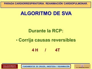 ALGORITMO DE SVA
Durante la RCP:
• Corrija causas reversibles
4 H / 4T
FACULTAD DEMEDICINA.
UNIVERSIDAD DE SEVILLA FUNDAME...