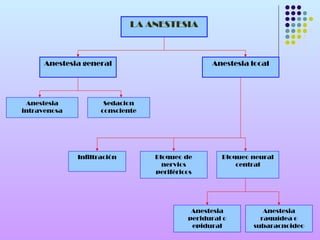 LA ANESTESIA



      Anestesia general                          Anestesia local




 Anestesia            Sedacion
intravenosa          consciente




              Infiltración        Bloqueo de        Bloqueo neural
                                    nervios             central
                                  periféricos




                                            Anestesia          Anestesia
                                           peridural o        raquídea o
                                            epidural        subaracnoideo
 