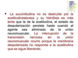      La succinilcolina no es destruida por la
    acetilcolinesterasa y su hidrólisis es más
    lenta que la de la acetilcolina, el estado de
    despolarización persiste hasta cuando el
    agente sea eliminado de la unión
    neuromuscular. La interrupción de la
    transmisión     nerviosa    en     la   unión
    neuromuscular ocurre porque la membrana
    despolarizada no responde a la acetilcolina
    que se sigue liberando.
 