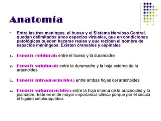 Anatomía
•    Entre las tres meninges, el hueso y el Sistema Nervioso Central,
     quedan delimitados unos espacios virtuales, que en condiciones
     patológicas pueden hacerse reales y que reciben el nombre de
     espacios meningeos. Existen craneales y espinales

1.   Espacio epidural: entre el hueso y la duramadre

2.   Espacio subdural: entre la duramadre y la hoja externa de la
     aracnoides

3.   Espacio intraaracnoideo: entre ambas hojas del aracnoides

4.   Espacio subaracnoideo: entre la hoja interna de la aracnoides y la
     piamadre. Este es el de mayor importancia clínica porque por él circula
     el líquido cefaloraquídeo.
 