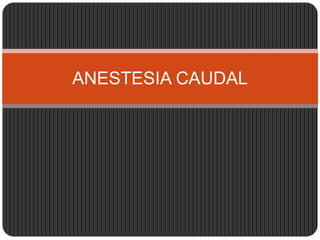 ANESTESIA CAUDAL
 